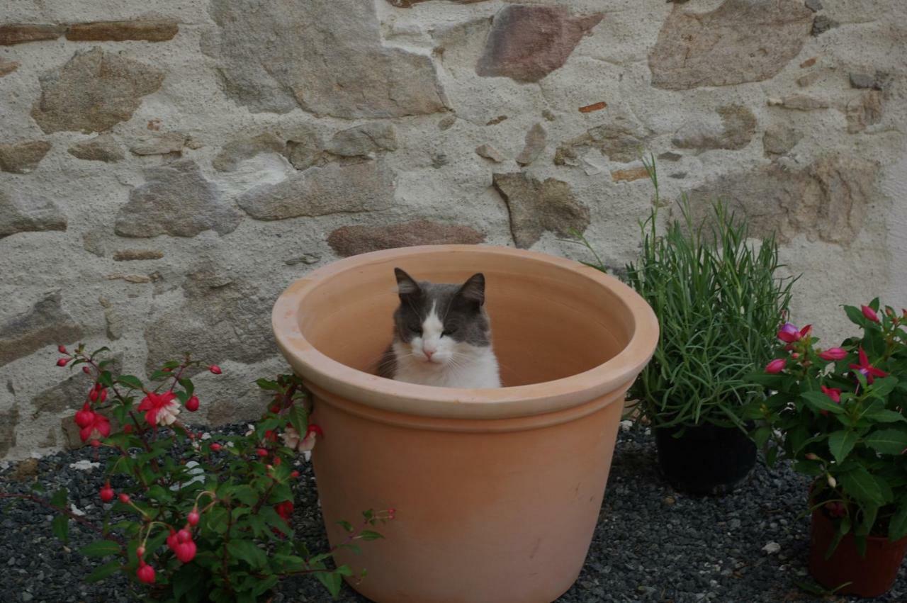 Bed and Breakfast Les Trois Etangs Saint-Viaud Екстер'єр фото